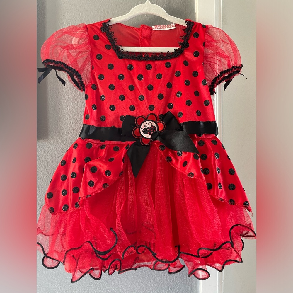 Pre owned Lady Bug costume 🐞